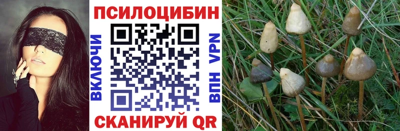 Галлюциногенные грибы Magic Shrooms Чебоксары