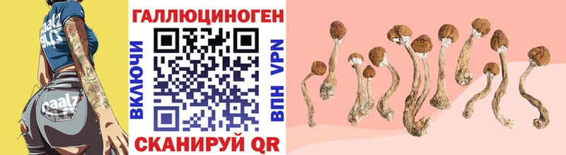 Галлюциногенные грибы мухоморы  Купить закладки  Чебоксары 